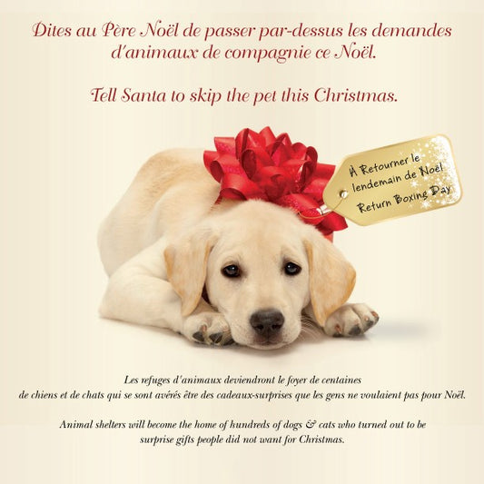Tell Santa to Skip a Pet This Christmas