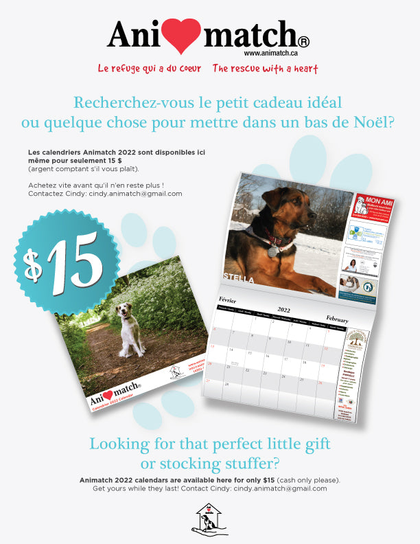 Animach Calendrier Animatch 2025 – Animatch.ca Dog Adoption