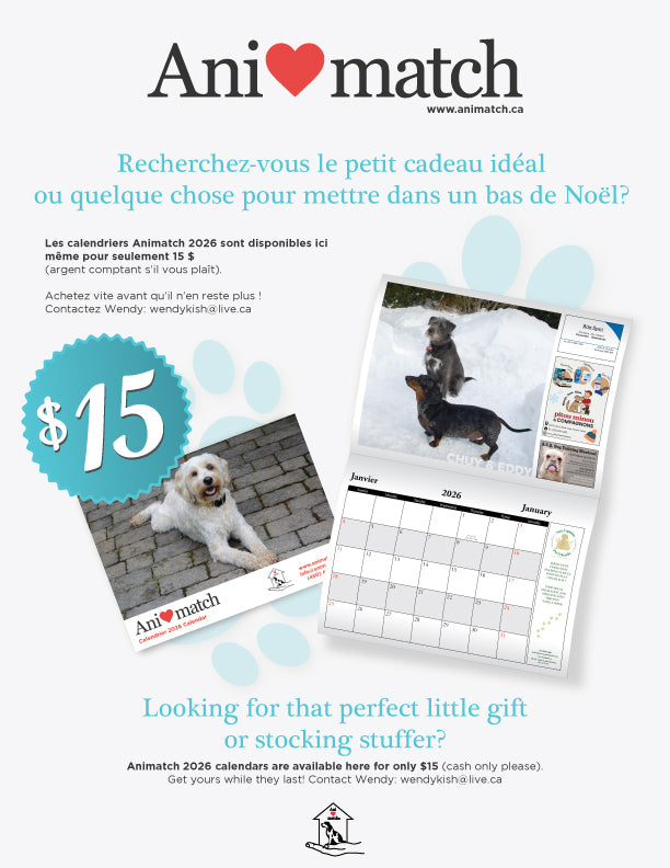 2026 Animatch Calendars