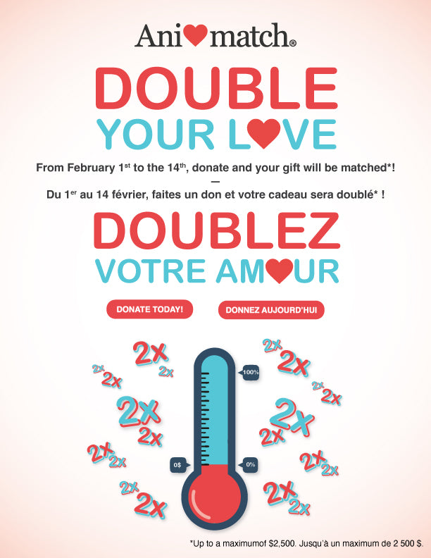 Animach Double Your Love for Animatch – Animatch.ca Dog Adoption