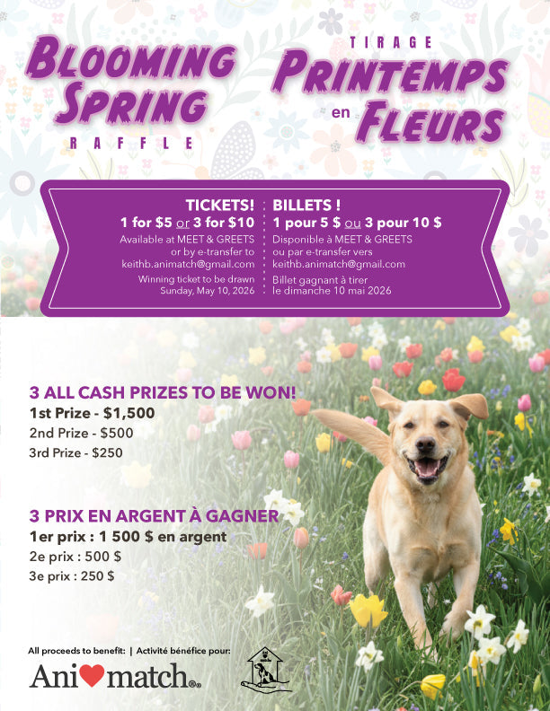 Spring Raffle 2026 – Animatch.ca Dog Adoption