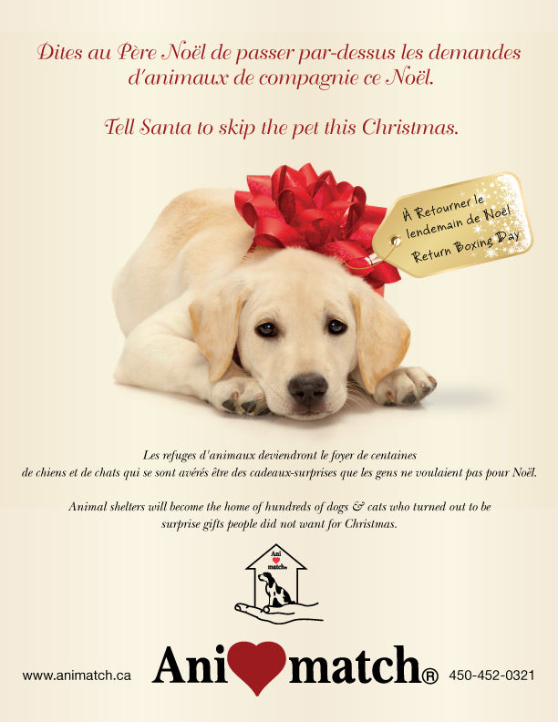 Tell Santa to Skip a Pet This Christmas