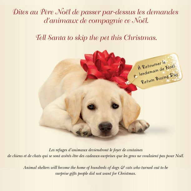 Tell Santa to Skip a Pet This Christmas