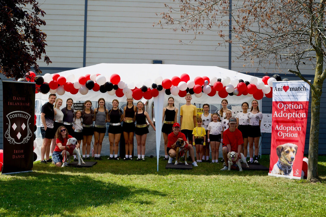 Thanks Costello Irish Dance!