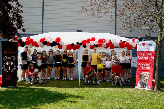 Thanks Costello Irish Dance!