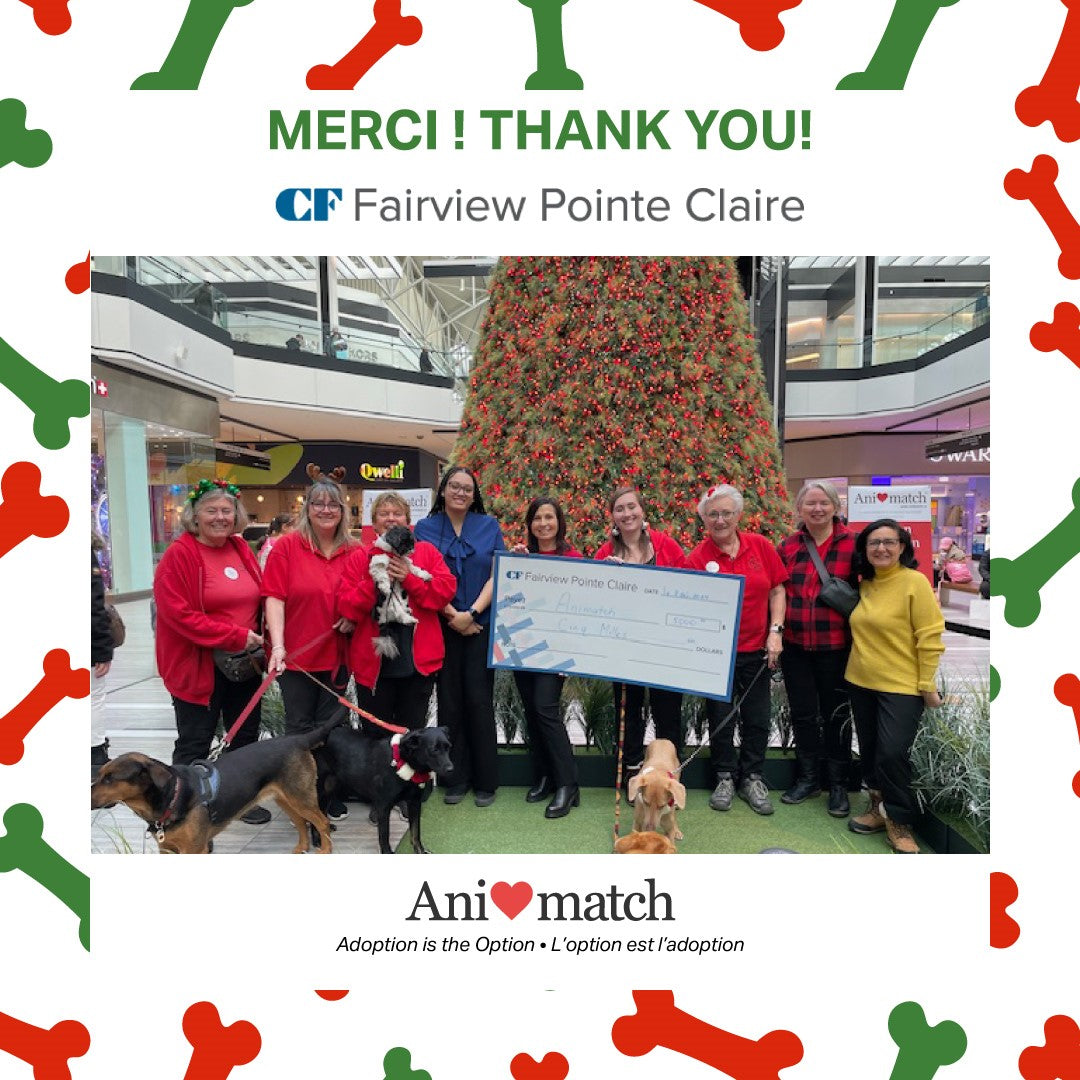 Revised Thanks Thank You CF Fairview Pointe Claire! – Animatch.ca Dog Adoption