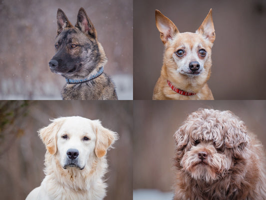 Save the date ... Saturday, April 11th