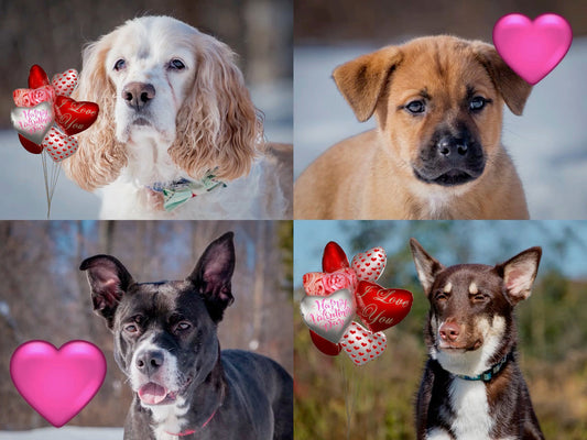 Save the date .... Saturday, February 14