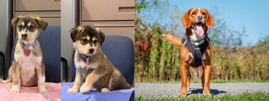 Save the date ... Saturday, January 10th