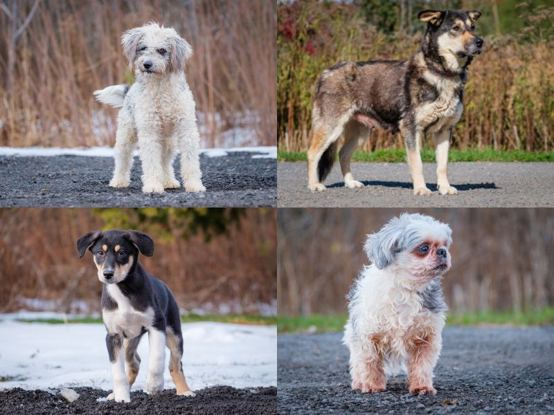 Save the date .... Saturday, December 22nd