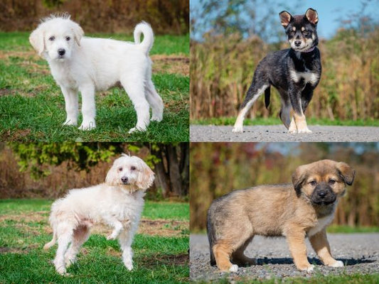 Save the date .... Saturday, November 8th ....