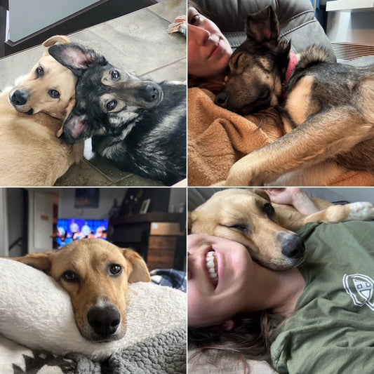 Wonderful news from two special former adoptees