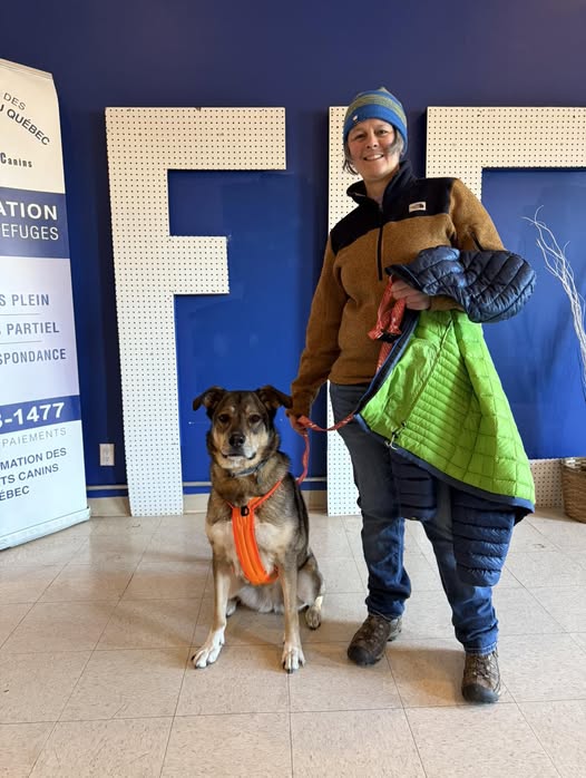 Ozzy has a home!