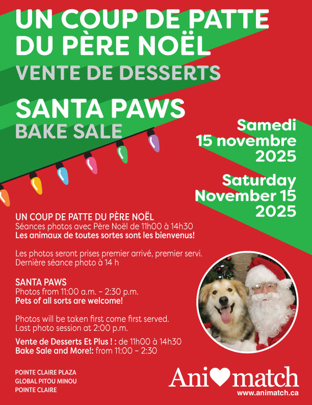 Vente de pâtisseries et de pattes de Père Noël
