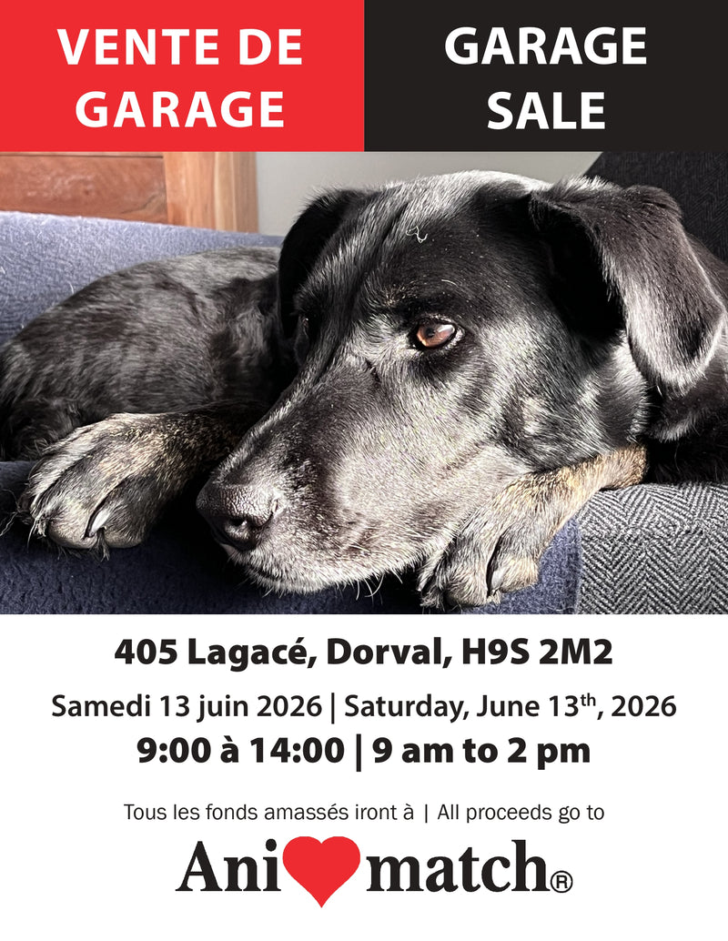 Vente de garage Animatch