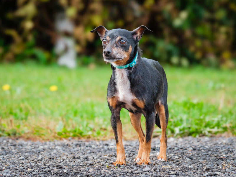 Dusk - Photo 2