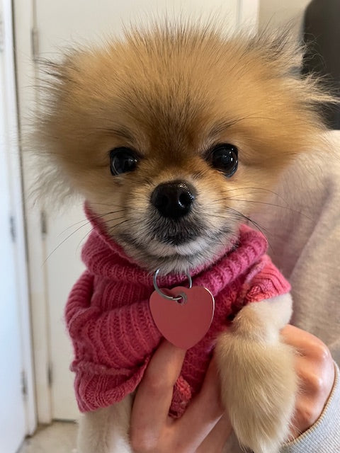    Animatch